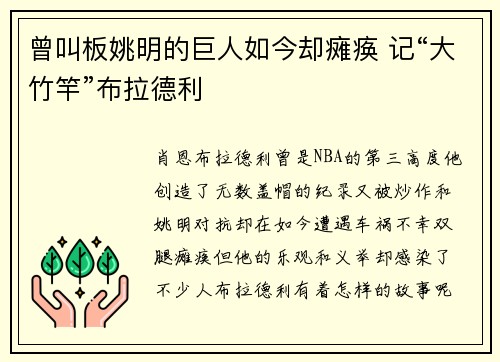 曾叫板姚明的巨人如今却瘫痪 记“大竹竿”布拉德利